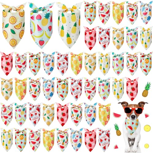 Weewooday Hundehalstücher mit Früchten, für den Sommer, Hawaii, weich, verstellbar, Dreieckstuch für kleine, mittelgroße und große Haustiere, 50 Stück (50 x 35 x 35 cm) von Weewooday
