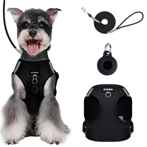 Hundegeschirr Kleine Hunde mit Leine, Wefaly Step-in Geschirr aus Air Mesh Anti Zug Verstellbare Brustgeschirr Hund Reflektierende Katzengeschirr Welpengeschirr für Kleine Hunde Katzen (S, Schwarz) von Wefaly