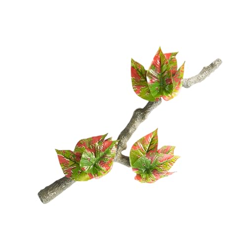 Reptilien Klettern Branchen Terrarien Pflanze Saugnäpfe Aquarien Dekoration Wie Klettern Der Weinpflanze Für Eidechsen Terrarien Dekoration Reptilien Klettern Branchen Terrarien Pflanze Saugnäpfe Aquarien Dekoration Wie Klettern Der Weinpflanze Für Eidechsen Terrarien Dekoration von Wegiwuca
