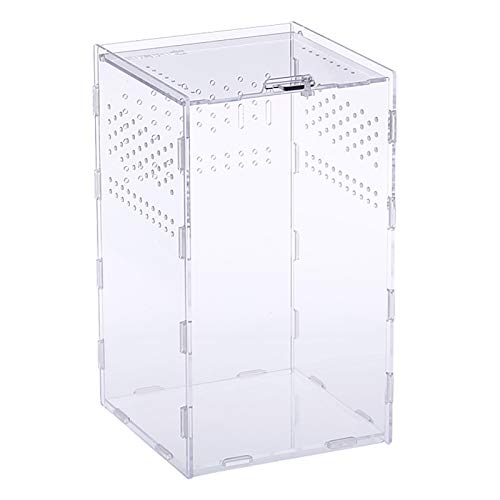 Weigudoc Fütterungsbox Transparenter Reptilienzucht Koffer, Acryl Habitat Terrarium Transportbox Reptilienzuchtbox für Spide, Eidechse, Skorpion, Hundertfüßer, Gehörnter Frosch, Käfer(25 * 15 * 15) Weigudoc Fütterungsbox Transparenter Reptilienzucht Koffer, Acryl Habitat Terrarium Transportbox Reptilienzuchtbox für Spide, Eidechse, Skorpion, Hundertfüßer, Gehörnter Frosch, Käfer(25 * 15 * 15) von Weigudoc