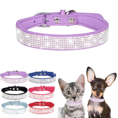 Bling Hundehalsband, Strass-Hundehalsband, niedliches Diamant-Juwel, funkelnd, ausgefallenes Lederhalsband für XXS, XS, S, M, L, XL, XXL, Welpen, Mädchen, weiblich, Violett, XXS Bling Hundehalsband, Strass-Hundehalsband, niedliches Diamant-Juwel, funkelnd, ausgefallenes Lederhalsband für XXS, XS, S, M, L, XL, XXL, Welpen, Mädchen, weiblich, Violett, XXS von WeimoMonkey