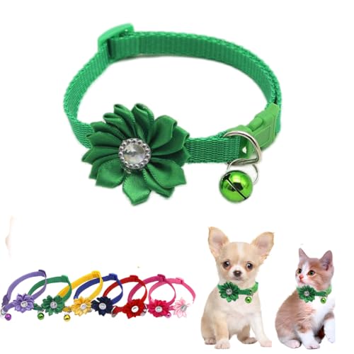 Grünes Glockenhalsband für kleine Hunde mit Blumen, XXS Hundehalsband für Mädchen, weiches Nylon, Welpenhalsbänder, verstellbar für XXS, XS, kleine Haustiere, Kätzchen, Hunde, Tierstreu, winzig Grünes Glockenhalsband für kleine Hunde mit Blumen, XXS Hundehalsband für Mädchen, weiches Nylon, Welpenhalsbänder, verstellbar für XXS, XS, kleine Haustiere, Kätzchen, Hunde, Tierstreu, winzig von WeimoMonkey