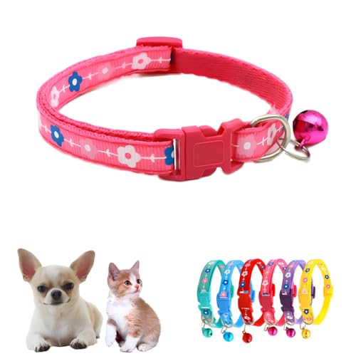 Halsband für kleine Katzen mit Glöckchen, Nylon-Blume, Welpenhalsband, Mädchen, für XXS, XS, kleine Hunde, Tierstreu, kleiner Kätzchen-Hals, 19 - 32 cm, Hot Pink Halsband für kleine Katzen mit Glöckchen, Nylon-Blume, Welpenhalsband, Mädchen, für XXS, XS, kleine Hunde, Tierstreu, kleiner Kätzchen-Hals, 19 - 32 cm, Hot Pink von WeimoMonkey