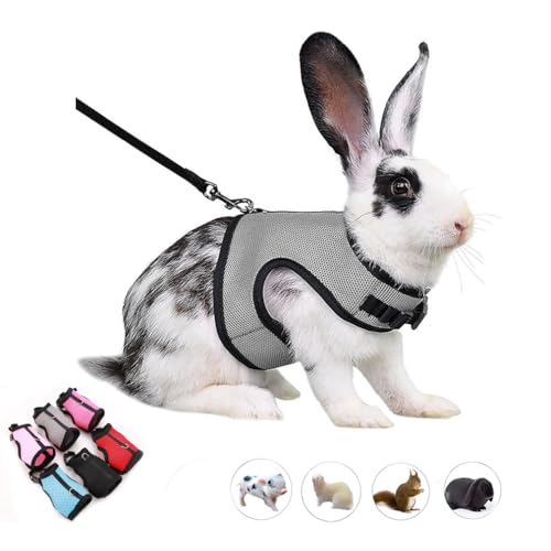 Hasengeschirr und Leine, ausbruchsicher, Kaninchengeschirr, Weste, Leine, Set, Netzgewebe, Spaziergangstraining für Kleintiere, Ratten, Hamster, Frettchen, Eichhörnchen, Chinchillas, Meerschweinchen Hasengeschirr und Leine, ausbruchsicher, Kaninchengeschirr, Weste, Leine, Set, Netzgewebe, Spaziergangstraining für Kleintiere, Ratten, Hamster, Frettchen, Eichhörnchen, Chinchillas, Meerschweinchen von WeimoMonkey