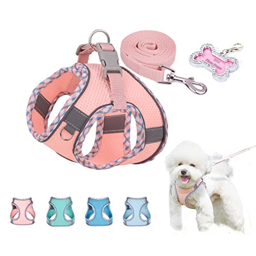 Hundegeschirr und Leine, Set mit Haustier-ID-Tags, Netzweste, Haustierbedarf, reflektierend, niedlich, weich, Katzenhalfter, verstellbar für kleine, mittelgroße und große Hunde, Kätzchen, Welpen, von WeimoMonkey