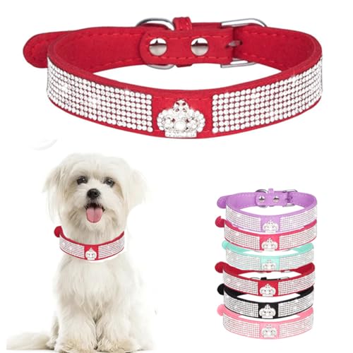 Hundehalsband, Größe XXS, für kleine Welpen, mit Strasssteinen, glitzernd, glitzernd, für Welpen, Größe XXS, XS, kleine, mittelgroße Hunde, Kätzchen, Größe XXS Hundehalsband, Größe XXS, für kleine Welpen, mit Strasssteinen, glitzernd, glitzernd, für Welpen, Größe XXS, XS, kleine, mittelgroße Hunde, Kätzchen, Größe XXS von WeimoMonkey