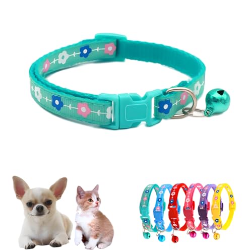 Hundehalsband mit Glöckchen, für Jungen, Nylon, für XXS, XS, kleine Haustiere, Tierstreu, kleine Kätzchen, grüner Hals, 19 - 32 cm Hundehalsband mit Glöckchen, für Jungen, Nylon, für XXS, XS, kleine Haustiere, Tierstreu, kleine Kätzchen, grüner Hals, 19 - 32 cm von WeimoMonkey