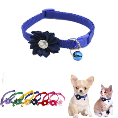 Hundehalsband mit Glöckchen, für Mädchen, Blume, Katze, Halskette, weiches Nylon, verstellbar, für XXS, XS, kleine Haustiere, Kätzchen, Hunde, Tierstreu, Größe XXS, Blau Hundehalsband mit Glöckchen, für Mädchen, Blume, Katze, Halskette, weiches Nylon, verstellbar, für XXS, XS, kleine Haustiere, Kätzchen, Hunde, Tierstreu, Größe XXS, Blau von WeimoMonkey