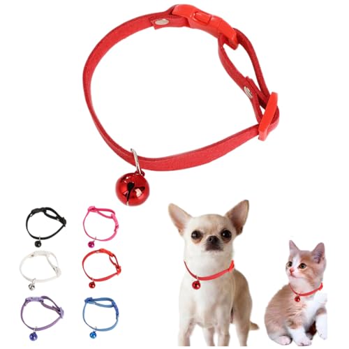 Hundehalsband mit Glöckchen, für Mädchen, niedliches Katzenhalsband mit Glöckchen, für XXS, XS, kleine Hündinnen, Haustier, Kätzchen, Tier, Rot, XXS Hundehalsband mit Glöckchen, für Mädchen, niedliches Katzenhalsband mit Glöckchen, für XXS, XS, kleine Hündinnen, Haustier, Kätzchen, Tier, Rot, XXS von WeimoMonkey