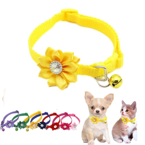 Hundehalsband mit Glöckchen und Glöckchen, weiches Nylon, für Welpen, Mädchen, verstellbar, für XXS, XS, kleine Haustiere, Kätzchen, Hunde, Tierstreu, klein Hundehalsband mit Glöckchen und Glöckchen, weiches Nylon, für Welpen, Mädchen, verstellbar, für XXS, XS, kleine Haustiere, Kätzchen, Hunde, Tierstreu, klein von WeimoMonkey