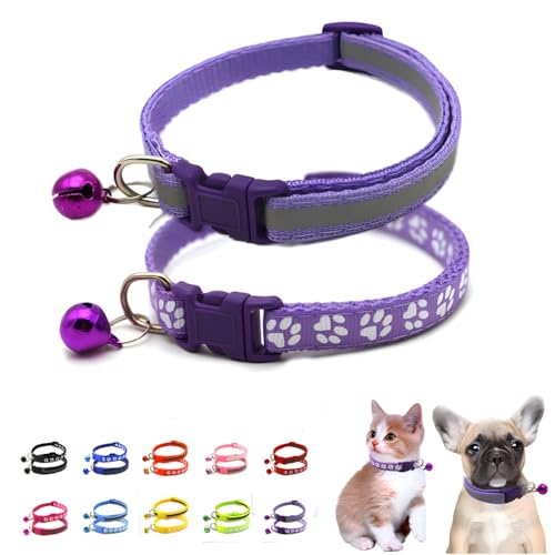 Katzenhalsband mit Glöckchen, 2er-Pack, einfaches und reflektierendes Hundehalsband, Mädchen, Welpenhalsband mit Glöckchen, für XXS, XS, kleine Hündinnen, Haustier, Kätzchen, Tier, XS Katzenhalsband mit Glöckchen, 2er-Pack, einfaches und reflektierendes Hundehalsband, Mädchen, Welpenhalsband mit Glöckchen, für XXS, XS, kleine Hündinnen, Haustier, Kätzchen, Tier, XS von WeimoMonkey