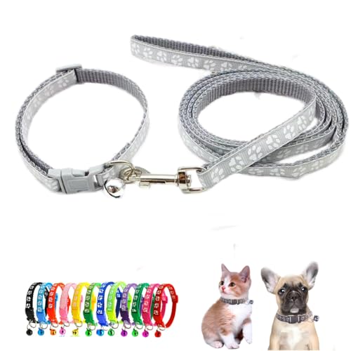 Katzenhalsband mit Glöckchen-Leine, Nylon, reflektierend, für Jungen und Mädchen, Pfotenabdruck für XXS, XS, kleine Hunde, Kätzchen, Haustier, klein, Grau Katzenhalsband mit Glöckchen-Leine, Nylon, reflektierend, für Jungen und Mädchen, Pfotenabdruck für XXS, XS, kleine Hunde, Kätzchen, Haustier, klein, Grau von WeimoMonkey