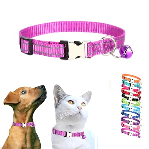 Lila Welpenhalsband mit Glöckchen, Metallschnalle & reflektierendem Katzenhalsband, für Mädchen, kleines Hundehalsband, Glocke für XXS, XS, kleine weibliche Katzen, Hunde, Haustier, Kätzchen, Tier, XS Lila Welpenhalsband mit Glöckchen, Metallschnalle & reflektierendem Katzenhalsband, für Mädchen, kleines Hundehalsband, Glocke für XXS, XS, kleine weibliche Katzen, Hunde, Haustier, Kätzchen, Tier, XS von WeimoMonkey