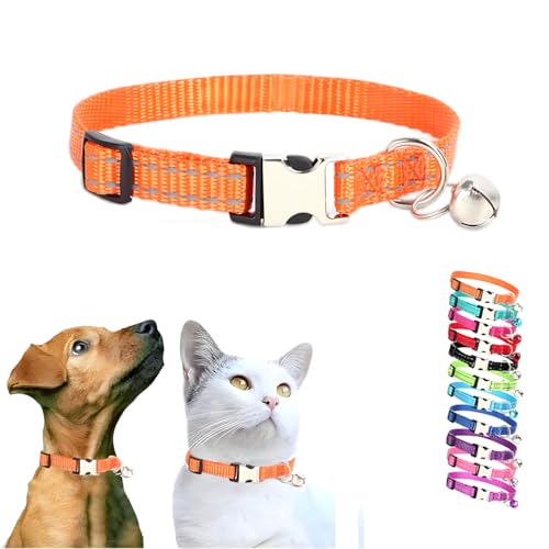 Orange Welpenhalsband mit Glöckchen, Katzenhalsband, Nylon, Metallschnalle, reflektierend, für XXS, XS, kleine Hunde, männlich, Mädchen, kleine Haustiere, kleine Tiere, Größe XS Orange Welpenhalsband mit Glöckchen, Katzenhalsband, Nylon, Metallschnalle, reflektierend, für XXS, XS, kleine Hunde, männlich, Mädchen, kleine Haustiere, kleine Tiere, Größe XS von WeimoMonkey