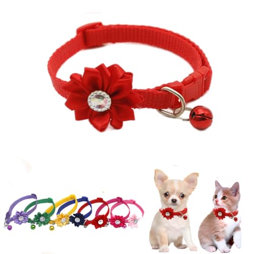 Rotes Kätzchen-Glöckchen-Halsband mit Blume, Welpenhalsband mit Glöckchen, weiches Nylon, für Mädchen, Neacklace, verstellbar, für XXS / XS / kleine Haustiere, Katzen, Hunde, Tierstreu, winzig Rotes Kätzchen-Glöckchen-Halsband mit Blume, Welpenhalsband mit Glöckchen, weiches Nylon, für Mädchen, Neacklace, verstellbar, für XXS / XS / kleine Haustiere, Katzen, Hunde, Tierstreu, winzig von WeimoMonkey