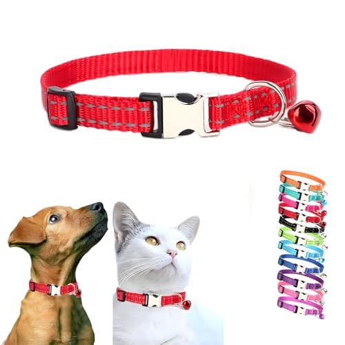 Rotes Kätzchenhalsband mit Glöckchen, Metallschnalle und reflektierendem Katzenhalsband, für Mädchen, Welpen, Hundehalsband mit Glöckchen, für XXS, XS, kleine Hündinnen, Haustiere, Tier, XS Rotes Kätzchenhalsband mit Glöckchen, Metallschnalle und reflektierendem Katzenhalsband, für Mädchen, Welpen, Hundehalsband mit Glöckchen, für XXS, XS, kleine Hündinnen, Haustiere, Tier, XS von WeimoMonkey