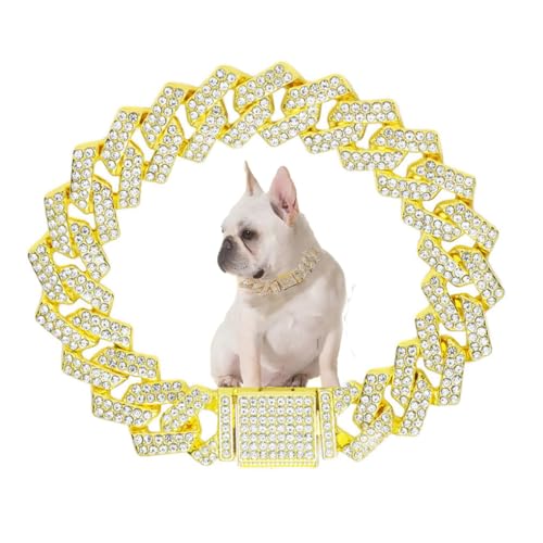 WeimoMonkey Goldfarbene Hundekette, Hundehalsband, Diamant-Hundehalsband, glitzernd, kubanisches Gliederhalsband, Glitzer, Strass, Metall-Choke, 14 mm breit, Haustierschmuck für Welpen, XS, kleine, WeimoMonkey Goldfarbene Hundekette, Hundehalsband, Diamant-Hundehalsband, glitzernd, kubanisches Gliederhalsband, Glitzer, Strass, Metall-Choke, 14 mm breit, Haustierschmuck für Welpen, XS, kleine, von WeimoMonkey