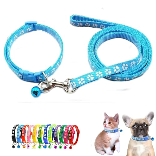 Welpenhalsband, Größe XS mit Glöckchen-Leine, Nylon, reflektierend, Pfotenabdruck, für XXS, XS, kleine Katzen, Tierstreu, kleine Kätzchen, Jungen, Mädchen, Hellblau Welpenhalsband, Größe XS mit Glöckchen-Leine, Nylon, reflektierend, Pfotenabdruck, für XXS, XS, kleine Katzen, Tierstreu, kleine Kätzchen, Jungen, Mädchen, Hellblau von WeimoMonkey