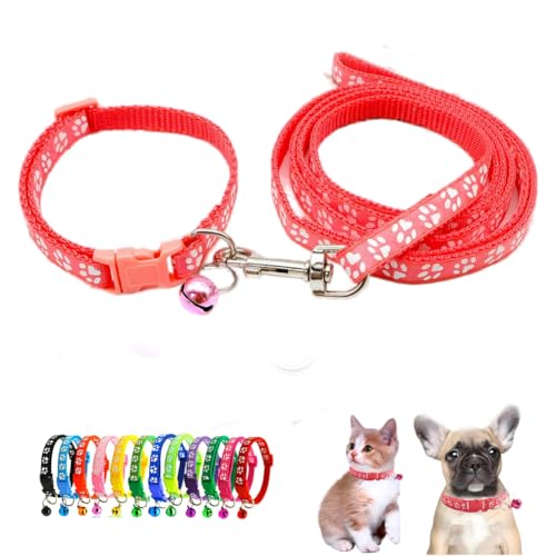 XS Hundehalsband mit Glöckchen-Leine, Nylon, reflektierend, Pfotenabdruck, für XXS, XS, kleine Katze, Haustierstreu, kleines Kätzchen, Jungen, Mädchen, Hellgrün XS Hundehalsband mit Glöckchen-Leine, Nylon, reflektierend, Pfotenabdruck, für XXS, XS, kleine Katze, Haustierstreu, kleines Kätzchen, Jungen, Mädchen, Hellgrün von WeimoMonkey