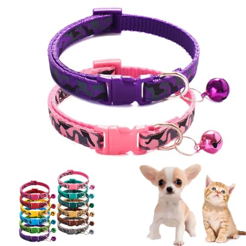 XS Welpenhalsband für Mädchen, 2er-Pack, Basic für Hundehalsband, kleine Katzenhalsbänder mit Glöckchen, verstellbar, für XXS, XS, kleine Haustiere, Tierstreu, kleine Kätzchen, weiblich, Rosa/Lila, XS XS Welpenhalsband für Mädchen, 2er-Pack, Basic für Hundehalsband, kleine Katzenhalsbänder mit Glöckchen, verstellbar, für XXS, XS, kleine Haustiere, Tierstreu, kleine Kätzchen, weiblich, Rosa/Lila, XS von WeimoMonkey