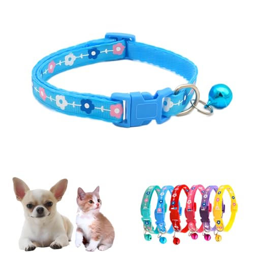 XXS Hundehalsband mit Glöckchen, Blumenmotiv, für Jungen, Nylon, Basic, XXS, S, kleine Haustiere, Tierstreu, kleines Kätzchen, Himmelblau, Halsumfang: 19,1–32 cm XXS Hundehalsband mit Glöckchen, Blumenmotiv, für Jungen, Nylon, Basic, XXS, S, kleine Haustiere, Tierstreu, kleines Kätzchen, Himmelblau, Halsumfang: 19,1–32 cm von WeimoMonkey