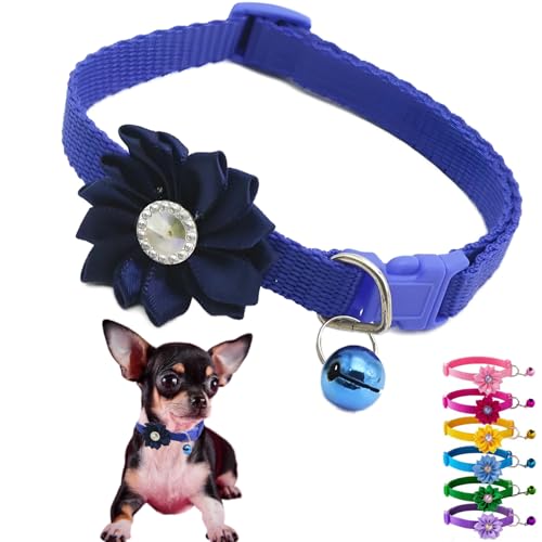 Dunkelblaues Kätzchen-Halsband mit Glocke und Blumen, XS, Welpenhalsbänder mit Glöckchen, niedlich, verstellbar, für XXS, XS, XS, XS, Hündinnen, Katzen, kleine Haustiere, kleine Yorkie, Chihuahua, XS Dunkelblaues Kätzchen-Halsband mit Glocke und Blumen, XS, Welpenhalsbänder mit Glöckchen, niedlich, verstellbar, für XXS, XS, XS, XS, Hündinnen, Katzen, kleine Haustiere, kleine Yorkie, Chihuahua, XS von Weimostar