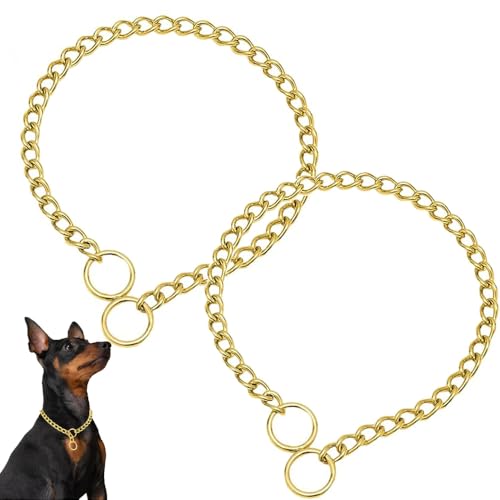 Goldenes Halsband für Hunde, schwere Kette, Metall, Training, P-Link, Martingal-Halsbänder, Welpen-Würgekette für XXS, XS, kleine, mittelgroße und große Rassen, Größe L, 2 Stück von Weimostar