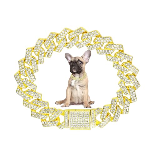 Goldfarbenes Halsband für kleine Hunde, weibliche Strass-Hundekette, Halskette, glitzernd, niedlicher Schmuck, Metall-Diamanten, kubanische Glieder-Welpenhalsband für XXS, XS, kleine, mittelgroße Goldfarbenes Halsband für kleine Hunde, weibliche Strass-Hundekette, Halskette, glitzernd, niedlicher Schmuck, Metall-Diamanten, kubanische Glieder-Welpenhalsband für XXS, XS, kleine, mittelgroße von Weimostar