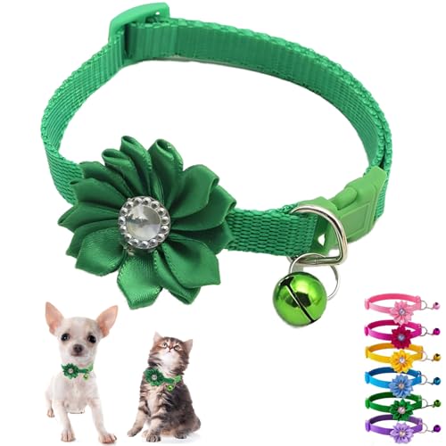 Grünes Hundehalsband mit Glocke und Blume, Katzenhalsband, niedlich, verstellbar, für XXS, XS, XS, Hündinnen, kleine Haustiere, kleine Kätzchen, Yorkie, Chihuahua, XS Grünes Hundehalsband mit Glocke und Blume, Katzenhalsband, niedlich, verstellbar, für XXS, XS, XS, Hündinnen, kleine Haustiere, kleine Kätzchen, Yorkie, Chihuahua, XS von Weimostar