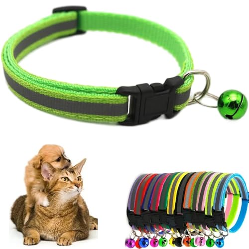 Grünes Katzenhalsband mit Glöckchen, reflektierend, für kleine Hunde, weich, verstellbare Schnalle, für XS, XS, XS, Welpen, weiblich, männlich, kleine Haustiere, Kätzchen, Jungen, Mädchen, Yorkie Grünes Katzenhalsband mit Glöckchen, reflektierend, für kleine Hunde, weich, verstellbare Schnalle, für XS, XS, XS, Welpen, weiblich, männlich, kleine Haustiere, Kätzchen, Jungen, Mädchen, Yorkie von Weimostar