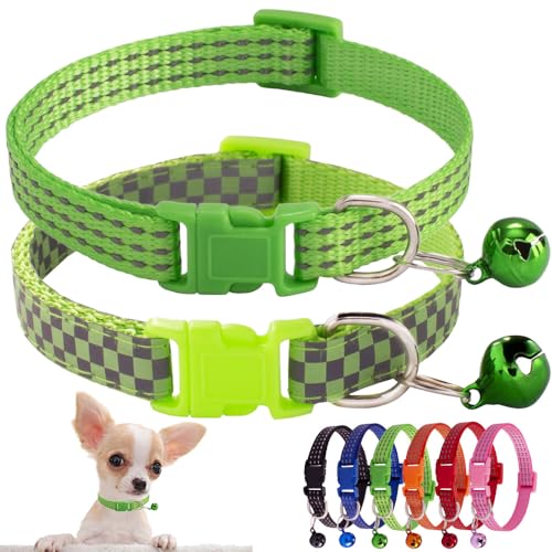 Grünes Welpenhalsband mit Glöckchen, 2 Stück, reflektierend, XXS-Hundehalsbänder mit Glöckchen, verstellbare Schnalle, für XS, XS, kleine Hündinnen, Mädchen, Haustiere, Katze, Kätzchen, Yorkie Grünes Welpenhalsband mit Glöckchen, 2 Stück, reflektierend, XXS-Hundehalsbänder mit Glöckchen, verstellbare Schnalle, für XS, XS, kleine Hündinnen, Mädchen, Haustiere, Katze, Kätzchen, Yorkie von Weimostar