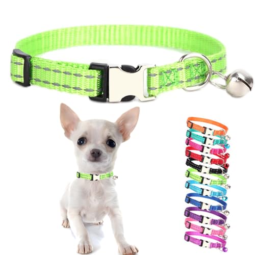 Grünes Welpenhalsband mit Glöckchen, reflektierendes Nylon, XS, Katzenhalsband, weich, verstellbare Schnalle, für XXS, XS, kleine Welpen, weibliche kleine Haustiere, Hunde, Jungen, Mädchen, Kätzchen, Grünes Welpenhalsband mit Glöckchen, reflektierendes Nylon, XS, Katzenhalsband, weich, verstellbare Schnalle, für XXS, XS, kleine Welpen, weibliche kleine Haustiere, Hunde, Jungen, Mädchen, Kätzchen, von Weimostar
