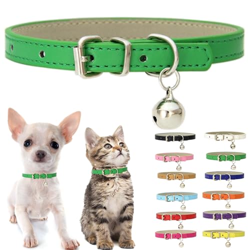 Grünes Welpenhalsband mit Glöckchen, weiches PU-Leder, Katzenhalsband, verstellbare Schnalle, für XXS, XS, XS, XS, M, winzige weibliche Männer, Jungen, Mädchen, Haustiere, Hunde, Kätzchen, Teetasse, Grünes Welpenhalsband mit Glöckchen, weiches PU-Leder, Katzenhalsband, verstellbare Schnalle, für XXS, XS, XS, XS, M, winzige weibliche Männer, Jungen, Mädchen, Haustiere, Hunde, Kätzchen, Teetasse, von Weimostar
