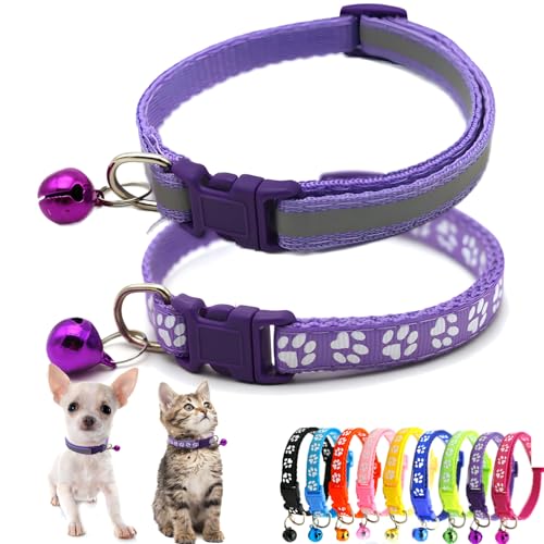 Halsband für kleine Hunde mit Glöckchen, 2 Stück, Katzenhalsband mit Glöckchen, reflektierend, Nylon, weich, verstellbare Schnalle, für XXS, XS, kleine Jungen, Mädchen, Haustiere, weiblich, Kätzchen, Halsband für kleine Hunde mit Glöckchen, 2 Stück, Katzenhalsband mit Glöckchen, reflektierend, Nylon, weich, verstellbare Schnalle, für XXS, XS, kleine Jungen, Mädchen, Haustiere, weiblich, Kätzchen, von Weimostar