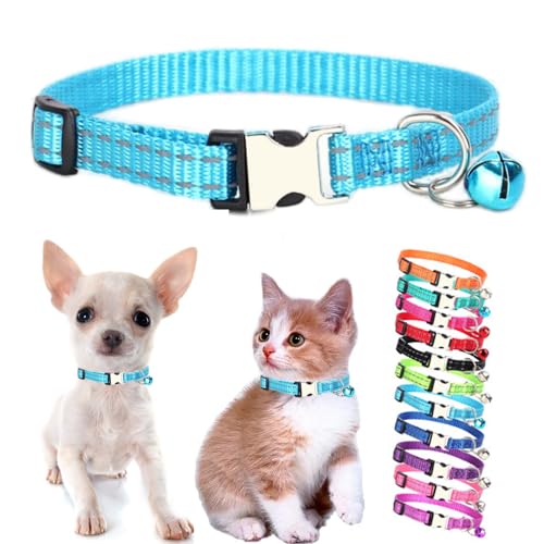 Hellblaues Katzenhalsband mit Glöckchen, reflektierendes Nylon, Größe XS, weich, verstellbare Schnalle, für XXS, XS, kleine Welpen, weibliche kleine Haustiere, Hunde, Jungen, Mädchen, Kätzchen, Hellblaues Katzenhalsband mit Glöckchen, reflektierendes Nylon, Größe XS, weich, verstellbare Schnalle, für XXS, XS, kleine Welpen, weibliche kleine Haustiere, Hunde, Jungen, Mädchen, Kätzchen, von Weimostar