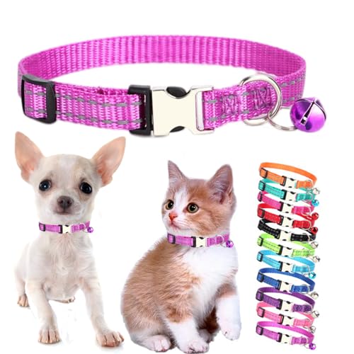 Hellviolettes Kätzchenhalsband mit Glöckchen, reflektierendes Nylon, XS, Katzenhalsband, weiches Welpenhalsband, verstellbare Schnalle, für XS, kleine Hunde, Welpen, weibliche kleine Haustiere, Hellviolettes Kätzchenhalsband mit Glöckchen, reflektierendes Nylon, XS, Katzenhalsband, weiches Welpenhalsband, verstellbare Schnalle, für XS, kleine Hunde, Welpen, weibliche kleine Haustiere, von Weimostar