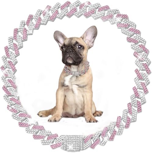 Hundehalsband, kubanisches Gliederhalsband, Mädchen-Halskette, Metall, Strass, Diamanten, funkelnd, niedlicher Schmuck für XXS, XS, S, M, L, weiblich, Haustier, Katze, Kätzchen, 20,3 cm Hundehalsband, kubanisches Gliederhalsband, Mädchen-Halskette, Metall, Strass, Diamanten, funkelnd, niedlicher Schmuck für XXS, XS, S, M, L, weiblich, Haustier, Katze, Kätzchen, 20,3 cm von Weimostar