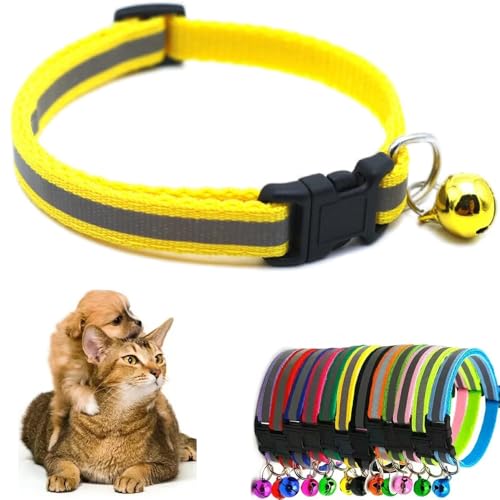 Hundehalsband für Mädchen mit Glöckchen, reflektierend, Größe XS, weich, verstellbare Schnalle, für XXS, Welpen, kleine Jungen, Haustiere, weiblich, männlich, Kätzchen, Yorkie, Chihuahua, Größe XS Hundehalsband für Mädchen mit Glöckchen, reflektierend, Größe XS, weich, verstellbare Schnalle, für XXS, Welpen, kleine Jungen, Haustiere, weiblich, männlich, Kätzchen, Yorkie, Chihuahua, Größe XS von Weimostar