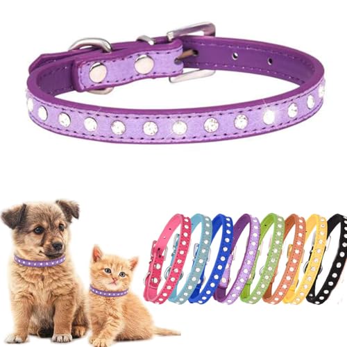 Hundehalsband für Mädchen mit Strasssteinen, glitzernd, glitzernd, verstellbar, für XXS, XS, XS, XS, Katzen, Jungen, Haustier, Kätzchen, Yorkie, Größe XS Hundehalsband für Mädchen mit Strasssteinen, glitzernd, glitzernd, verstellbar, für XXS, XS, XS, XS, Katzen, Jungen, Haustier, Kätzchen, Yorkie, Größe XS von Weimostar