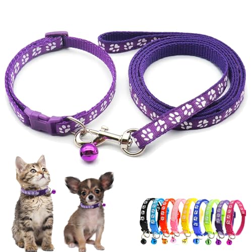 Hundehalsband für kleine Hunde mit Glöckchen, Katzenhalsband mit Glöckchen, Welpenhalsband, Nylon, weich, verstellbare Schnalle, für XXS, XS, kleine Jungen, Mädchen, Haustiere, weiblich, Kätzchen von Weimostar