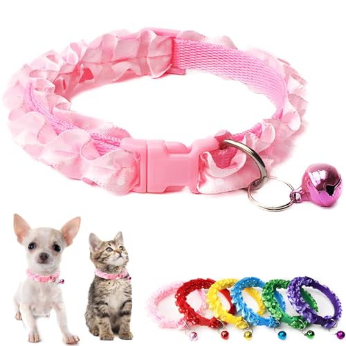 Hundehalsband für kleine Hunde mit Glöckchen, niedliches Katzenhalsband aus Spitze, verstellbare Schnalle, für XXS, XS, extra kleine Hunde, Welpen, weiblich, Jungen, männlich, kleine Haustiere, Hundehalsband für kleine Hunde mit Glöckchen, niedliches Katzenhalsband aus Spitze, verstellbare Schnalle, für XXS, XS, extra kleine Hunde, Welpen, weiblich, Jungen, männlich, kleine Haustiere, von Weimostar