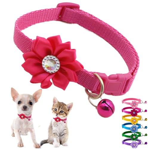 Hundehalsband mit Glocke und Blume, Blumenmuster, XS, mit Glöckchen, niedlich, verstellbar, für XS, extra kleine Hündinnen, kleine Katzen, Yorkie, Chihuahua, Größe XS Hundehalsband mit Glocke und Blume, Blumenmuster, XS, mit Glöckchen, niedlich, verstellbar, für XS, extra kleine Hündinnen, kleine Katzen, Yorkie, Chihuahua, Größe XS von Weimostar