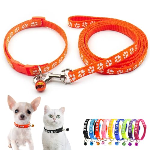 Hundehalsband mit Glöckchen, Nylon, weich, verstellbare Schnalle, für XXS, XS, XS, XS, XS, XS, XS, XS, Haustiere, weibliche Katze, Kätzchen, Yorkie, Teetasse, Chihuahua, Größe XS Hundehalsband mit Glöckchen, Nylon, weich, verstellbare Schnalle, für XXS, XS, XS, XS, XS, XS, XS, XS, Haustiere, weibliche Katze, Kätzchen, Yorkie, Teetasse, Chihuahua, Größe XS von Weimostar