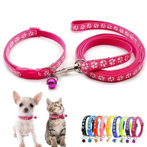 Hundehalsband mit Glöckchen, Nylon, weich, verstellbare Schnalle, für XXS, klein, Jungen, Mädchen, Haustiere, weibliche Katzen, Kätzchen, Yorkie, Chihuahua, Größe XS Hundehalsband mit Glöckchen, Nylon, weich, verstellbare Schnalle, für XXS, klein, Jungen, Mädchen, Haustiere, weibliche Katzen, Kätzchen, Yorkie, Chihuahua, Größe XS von Weimostar
