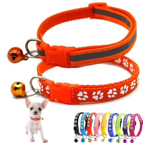 Hundehalsband mit Glöckchen, reflektierend, Nylon, weich, verstellbare Schnalle, für XXS, XS, XS, XS, XS, XS, XS, XS, Haustiere, weibliche Katze, Kätzchen, Yorkie, Teetasse, Chihuahua, Größe XS, Hundehalsband mit Glöckchen, reflektierend, Nylon, weich, verstellbare Schnalle, für XXS, XS, XS, XS, XS, XS, XS, XS, Haustiere, weibliche Katze, Kätzchen, Yorkie, Teetasse, Chihuahua, Größe XS, von Weimostar