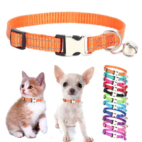 Hundehalsband mit Glöckchen, reflektierendes Nylon, Größe XS, weich, verstellbare Schnalle, für XXS, kleine Welpen, kleine Welpen, kleine Haustiere, Hunde, Mädchen, Kätzchen, Yorkie, Chihuahua, Größe Hundehalsband mit Glöckchen, reflektierendes Nylon, Größe XS, weich, verstellbare Schnalle, für XXS, kleine Welpen, kleine Welpen, kleine Haustiere, Hunde, Mädchen, Kätzchen, Yorkie, Chihuahua, Größe von Weimostar