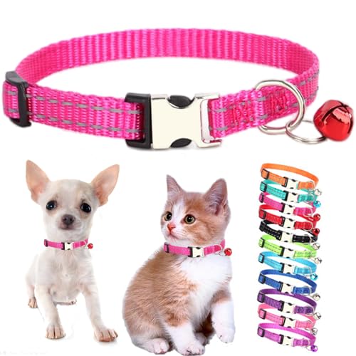 Hundehalsband mit Glöckchen, reflektierendes Nylon, Größe XS, weich, verstellbare Schnalle, für XXS, kleine Welpen, weibliche kleine Haustiere, Katzen, Mädchen, Kätzchen, Yorkie, Größe XS Hundehalsband mit Glöckchen, reflektierendes Nylon, Größe XS, weich, verstellbare Schnalle, für XXS, kleine Welpen, weibliche kleine Haustiere, Katzen, Mädchen, Kätzchen, Yorkie, Größe XS von Weimostar