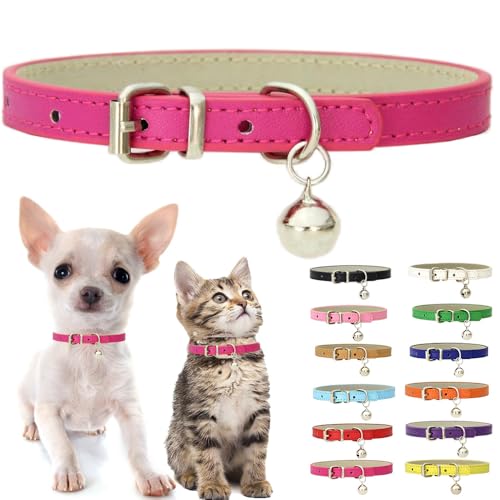 Hundehalsband mit Glöckchen, weiches PU-Leder, Katzenhalsband, verstellbare Schnalle, für XS, XS, M, kleine Hündinnen, Mädchen, Haustiere, Welpen, Kätzchen, Teetasse, Yorkie, Größe XXS Hundehalsband mit Glöckchen, weiches PU-Leder, Katzenhalsband, verstellbare Schnalle, für XS, XS, M, kleine Hündinnen, Mädchen, Haustiere, Welpen, Kätzchen, Teetasse, Yorkie, Größe XXS von Weimostar