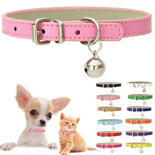 Hundehalsband mit Glöckchen, weiches PU-Leder, Katzenhalsband, verstellbare Schnalle, für XXS, XS, M, kleine Hündinnen, Mädchen, Haustiere, Welpen, Kätzchen, Teetasse, Yorkie, Größe XS Hundehalsband mit Glöckchen, weiches PU-Leder, Katzenhalsband, verstellbare Schnalle, für XXS, XS, M, kleine Hündinnen, Mädchen, Haustiere, Welpen, Kätzchen, Teetasse, Yorkie, Größe XS von Weimostar