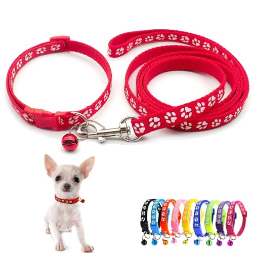 Hundehalsband mit Glöckchen-Leine, Katzenhalsband, Nylon, weich, verstellbare Schnalle, für XS, XS, XS, XS, klein, Jungen, Mädchen, Welpen, Haustiere, weiblich, männlich, Kätzchen, Yorkie, Teetasse von Weimostar